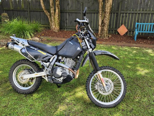 2019 dr650 for sale